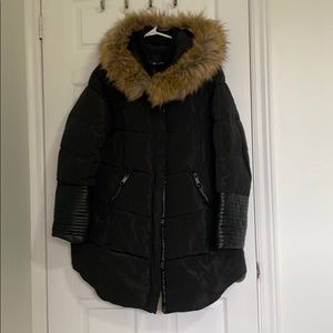 Winter Jacket
